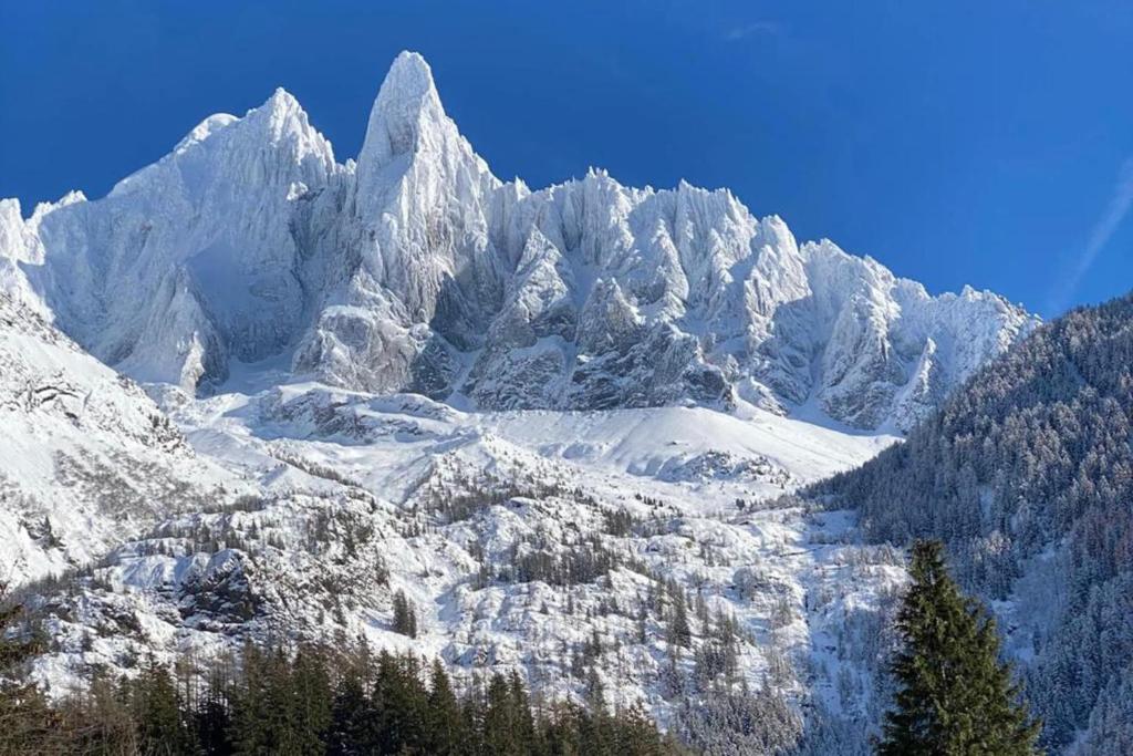 Chalet Aiguille Charm in Chamonix — image 15