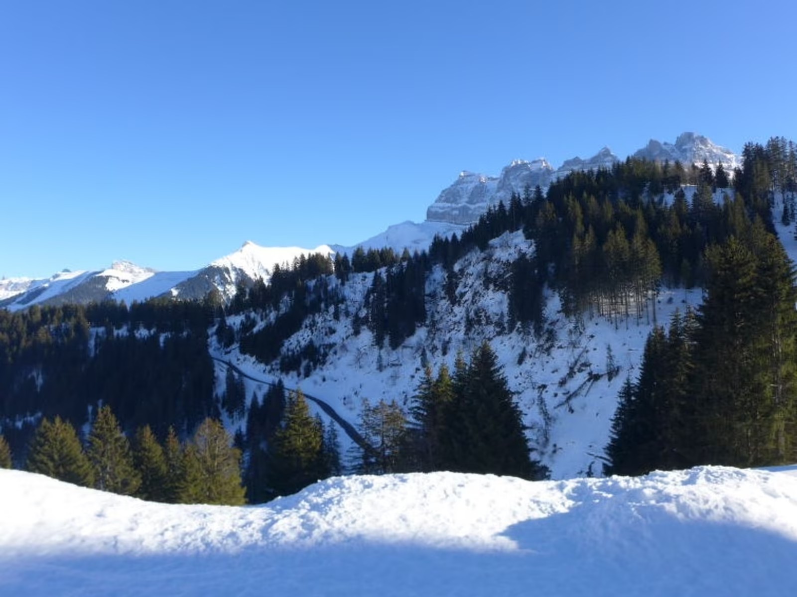 Chalet Le Cyclamen in Champoussin — image 10