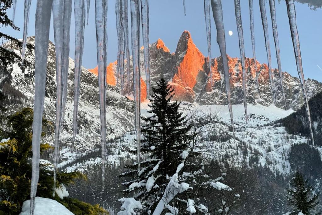 Chalet Aiguille Charm in Chamonix — image 13