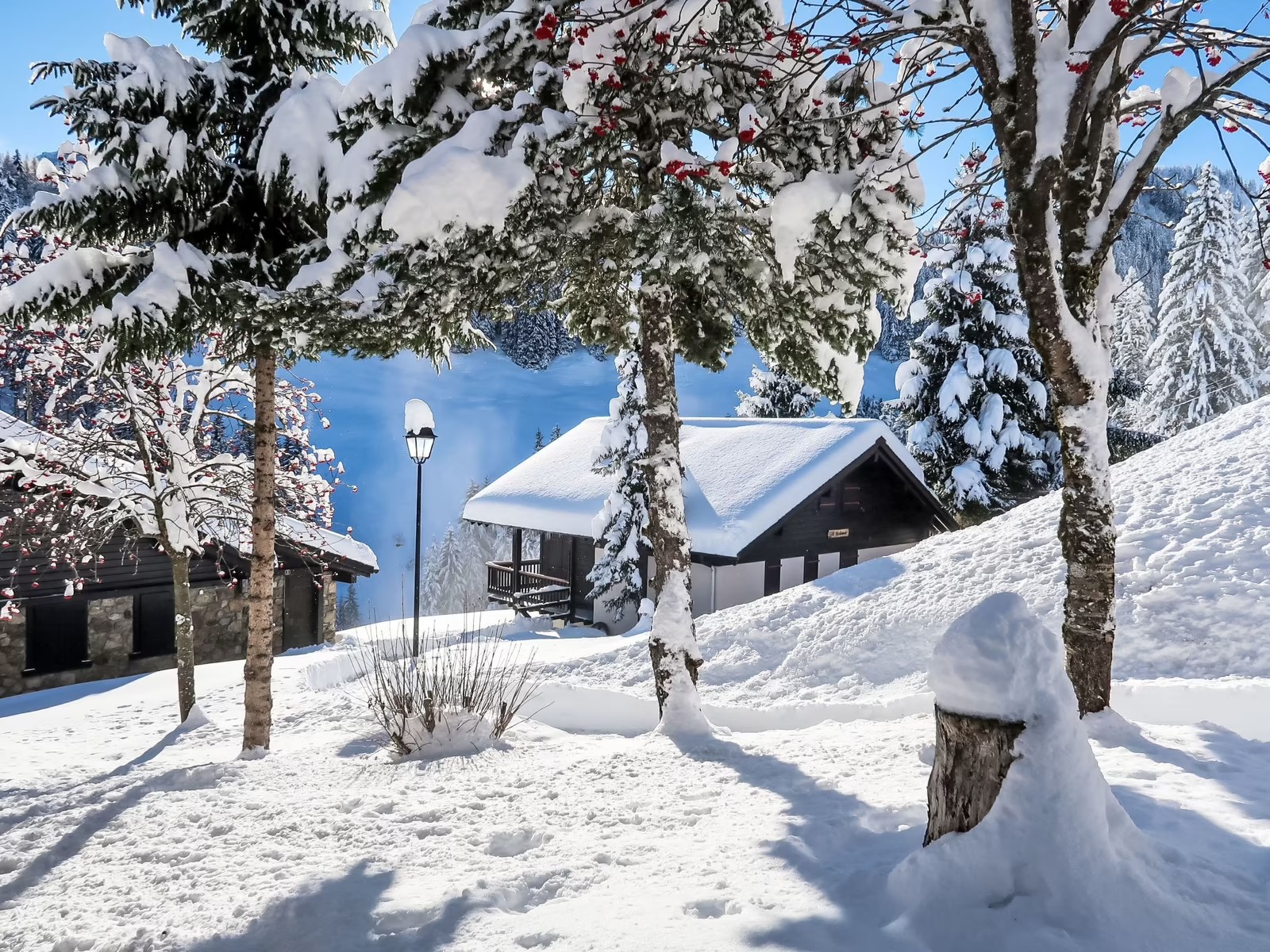 Chalet Le Cyclamen in Champoussin — image 2