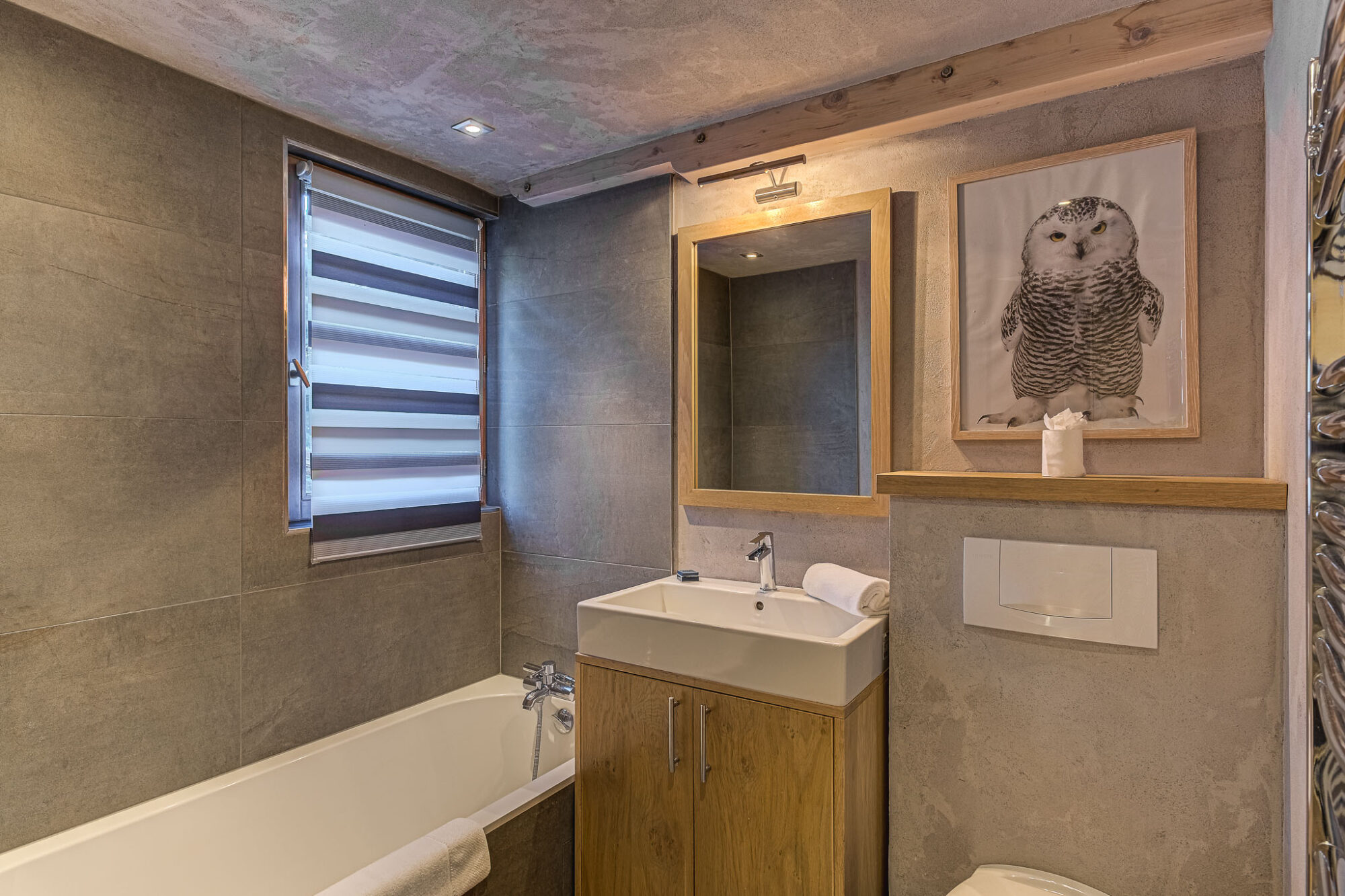 Chalet des Neiges in Chamonix — image 16